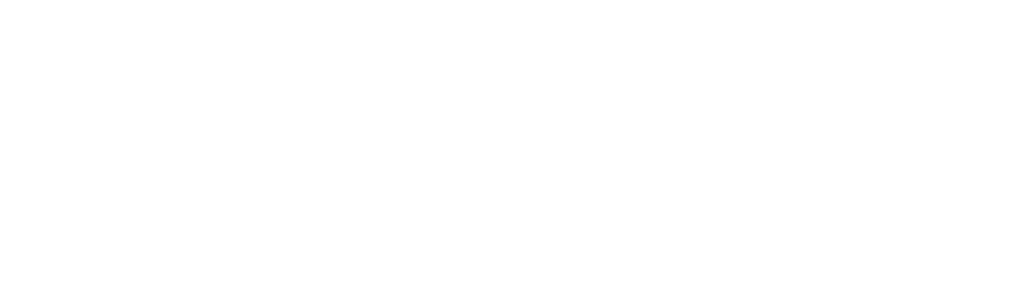 wise cat logo in white